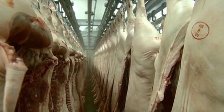 Stanje svinjskog mesa na tržištu - 3