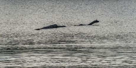 Loch Ness