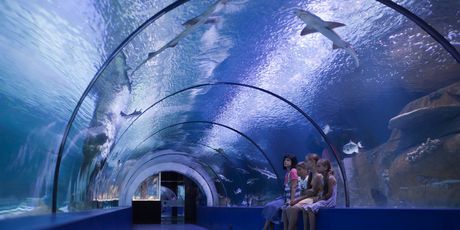 Antalya Aquarium - 4