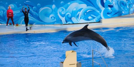 Antalya Aquarium - 7