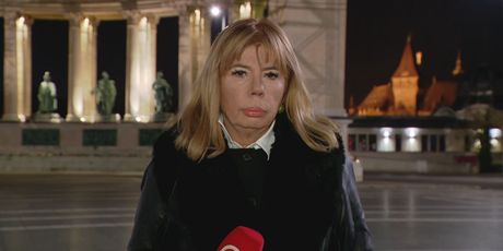 Ivana Petrović, reporterka Dnevnika Nove TV