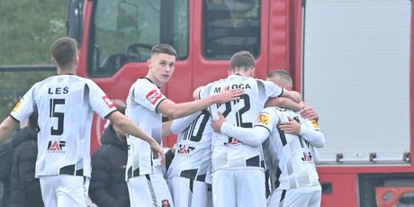 Slavlje igrača Gorice