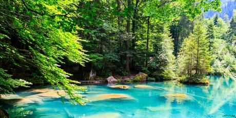 Blausee - 2
