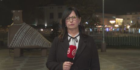 Marina Bešić Đukarić, reporterka Dnevnika Nove TV