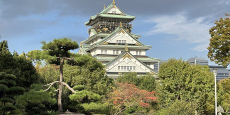 Japan - 46