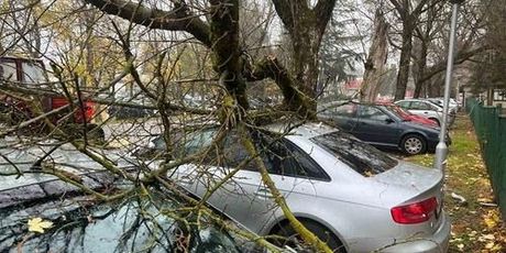 Posljedice nevremena u Osječko-baranjskoj županiji - 1