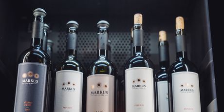 Markus Wine&Tasting Room - 15