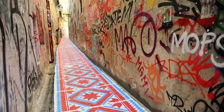 Novi tepih pred Zakmardijevim stubama - 5