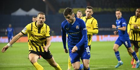 Dinamo - Borussia D.