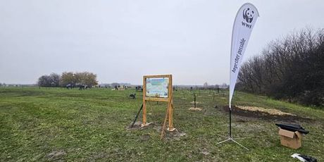 Šuma hrane u Čakovcu - 1