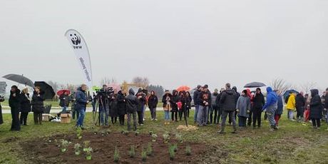Šuma hrane u Čakovcu - 5