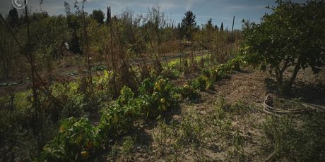 Poziv: Borba marjanskih težaka - 3