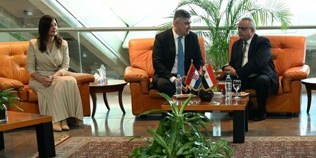 Sanja Musić Milanović, Zoran Milanović