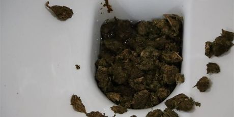 Pronađena veća količina droge i novac od prodaje droge