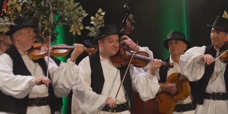 In Magazin: Lado - 4