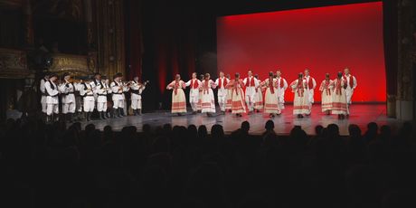 In Magazin: Lado - 5