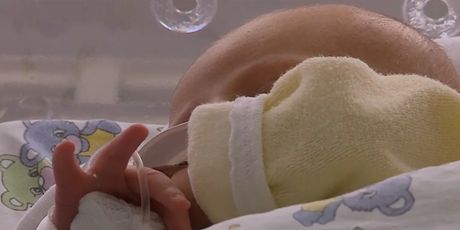 Demografski porast - 2