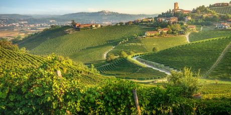 Pijemont je poznata vinorodna regija u Italiji