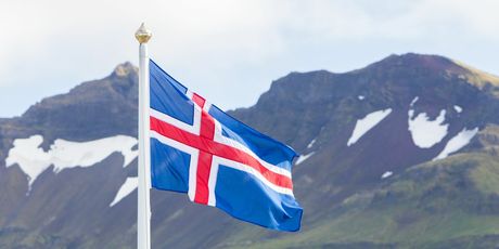 Novi kviz općeg znanja - 12