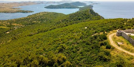 Novi kviz općeg znanja - 14