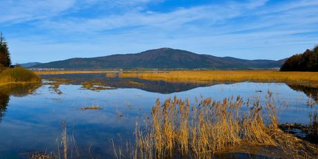 Cerkniško jezero u Sloveniji - 3