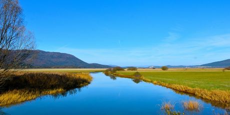 Cerkniško jezero u Sloveniji - 4