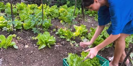 Laura Gnjatović, Miss Universe Hrvatske - 2