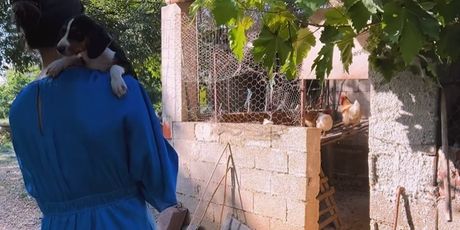 Laura Gnjatović, Miss Universe Hrvatske - 3