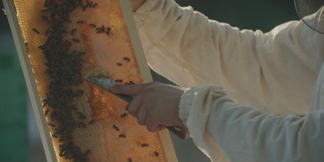 In Magazin: Startaj Hrvatska - 7