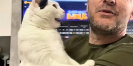 Tihomir Ostojić i Sabija - 1