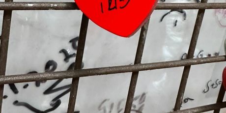 Marko i Iris Livaja u Italiji