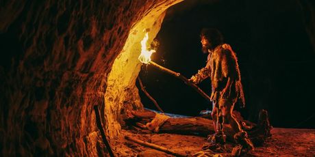 Kviz općeg znanja - 15