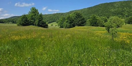 Kuća za odmor Margherita - 19