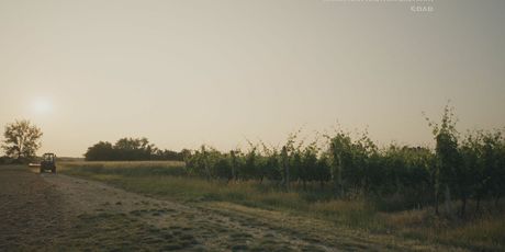 Startaj Hrvatska - 3