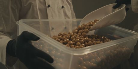 Startaj Hrvatska - 7