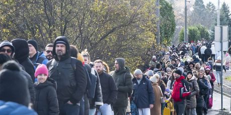 Gužve na Sljemenu - 1