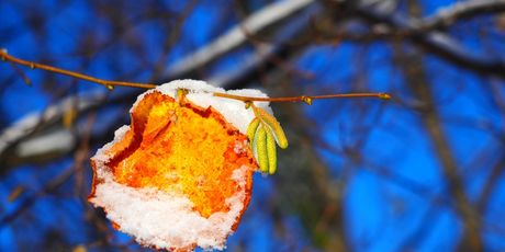 Zima u Samoborskom gorju - 6
