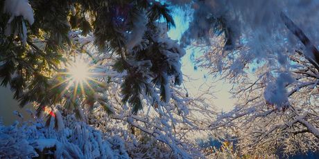 Zima u Samoborskom gorju - 7