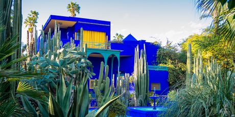 Botanički vrt Majorelle - 5