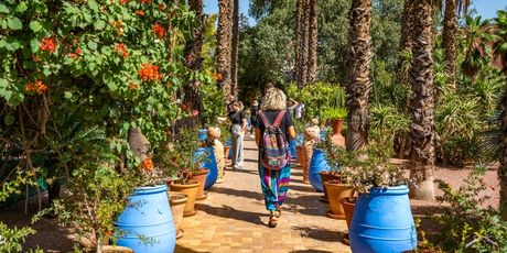 Botanički vrt Majorelle - 7