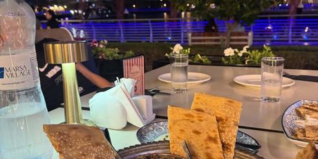 Anja Alavanja Viljevac