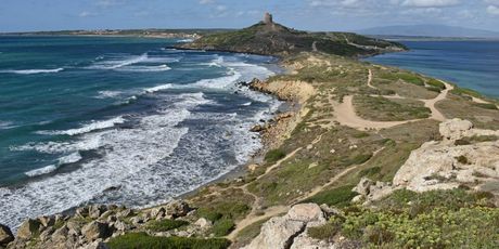 Sardinija - otok od tristo čuda - 18