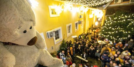 Minglanje v klanjcu - 11