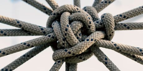 Novi kviz općeg znanja - 10