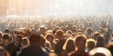 Novi kviz općeg znanja - 13