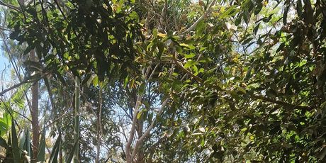 Putopis Tanzanija - 2