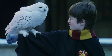 Harry Potter i Kamen mudraca