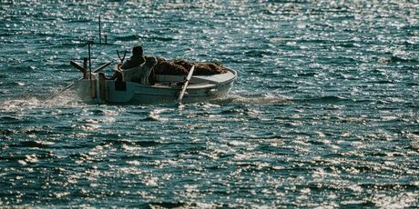 Međunarodni dan Mediterana - 13