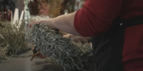 Adventski vijenci - 1