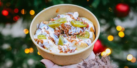 Baš naš - Zagrebački spomenar - 2